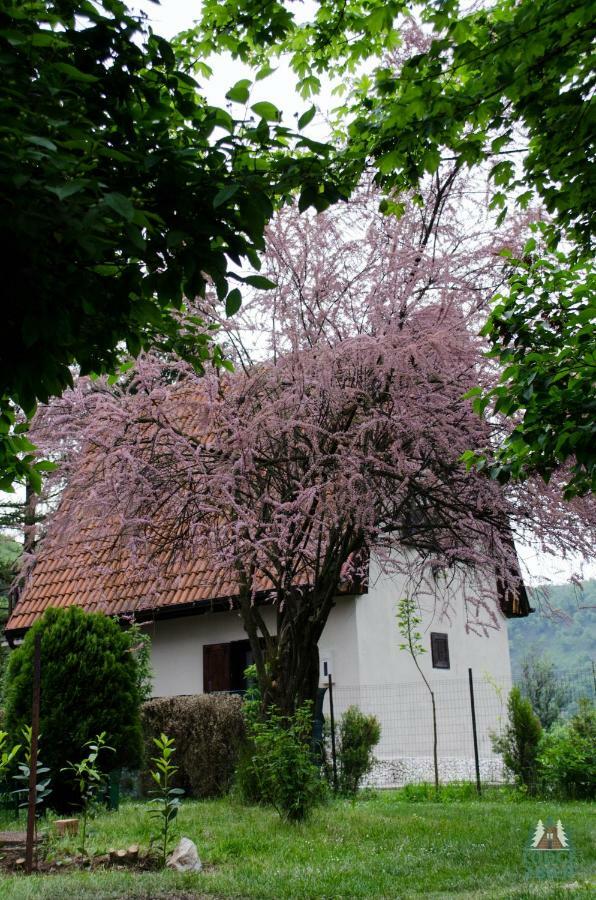 Lodge Zbilje Visoko, Bosnian Pyramids Exterior foto